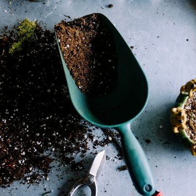 Garden Tools Set